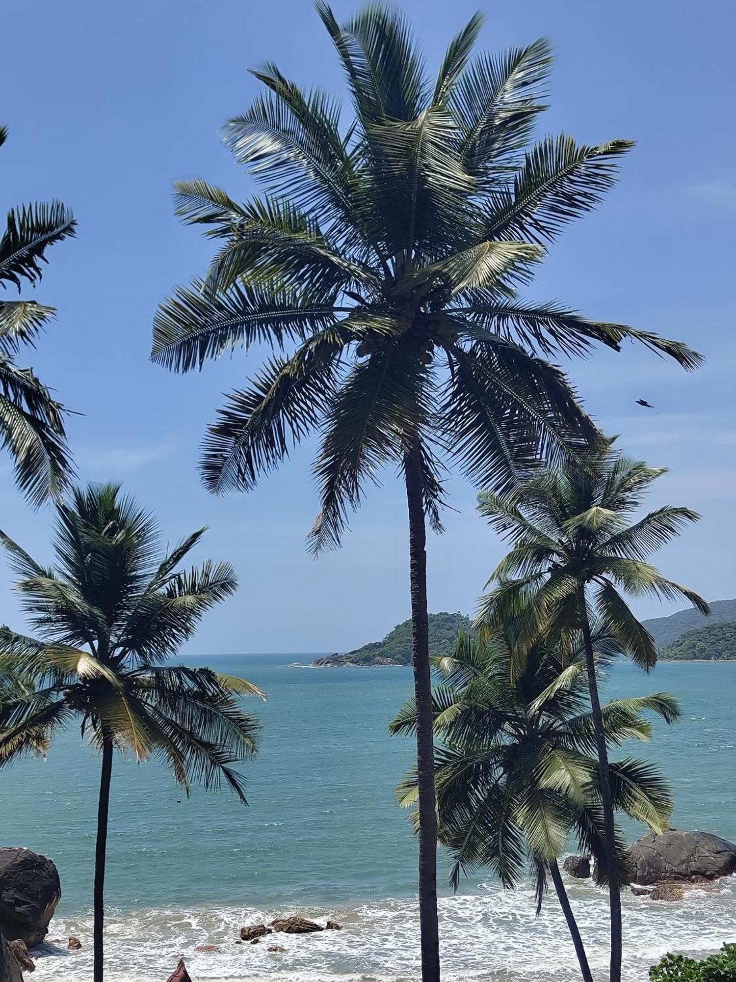 מלון Hilltop Seaview Palolem Goa מראה חיצוני תמונה