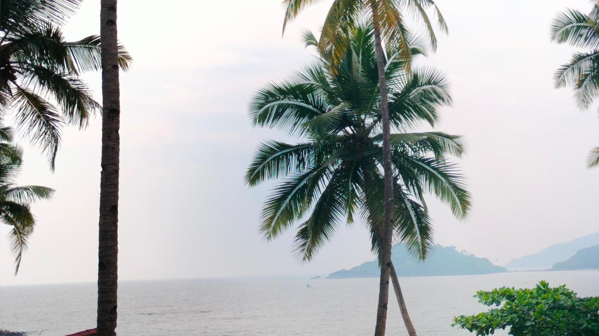 מלון Hilltop Seaview Palolem Goa חדר תמונה